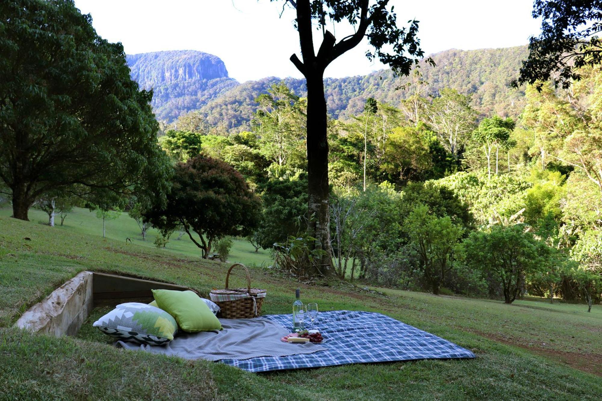 Lodge Rainforest Retreat