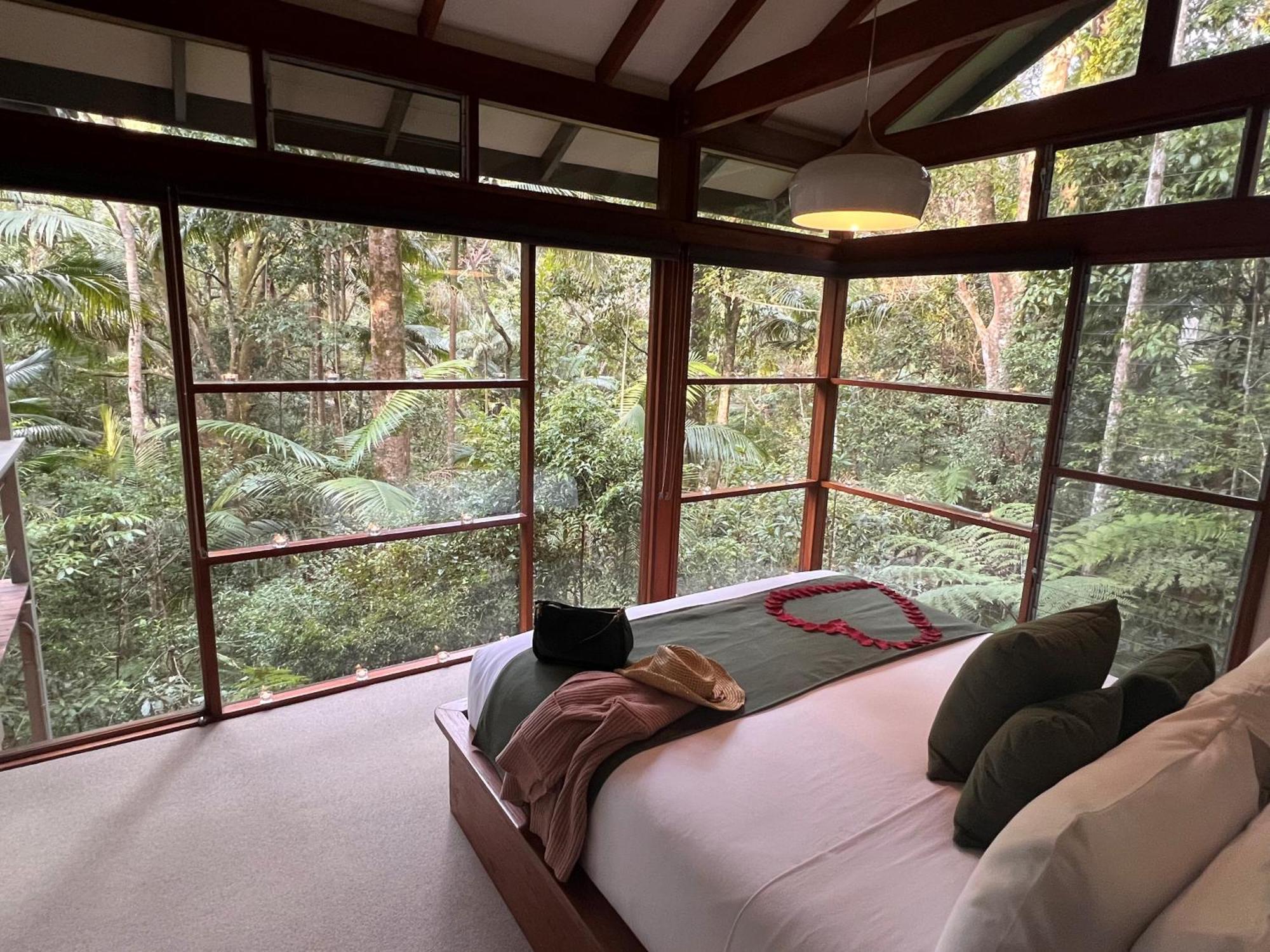 Lodge Rainforest Retreat Crystal Creek