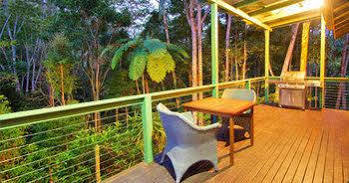 Rainforest Retreat *