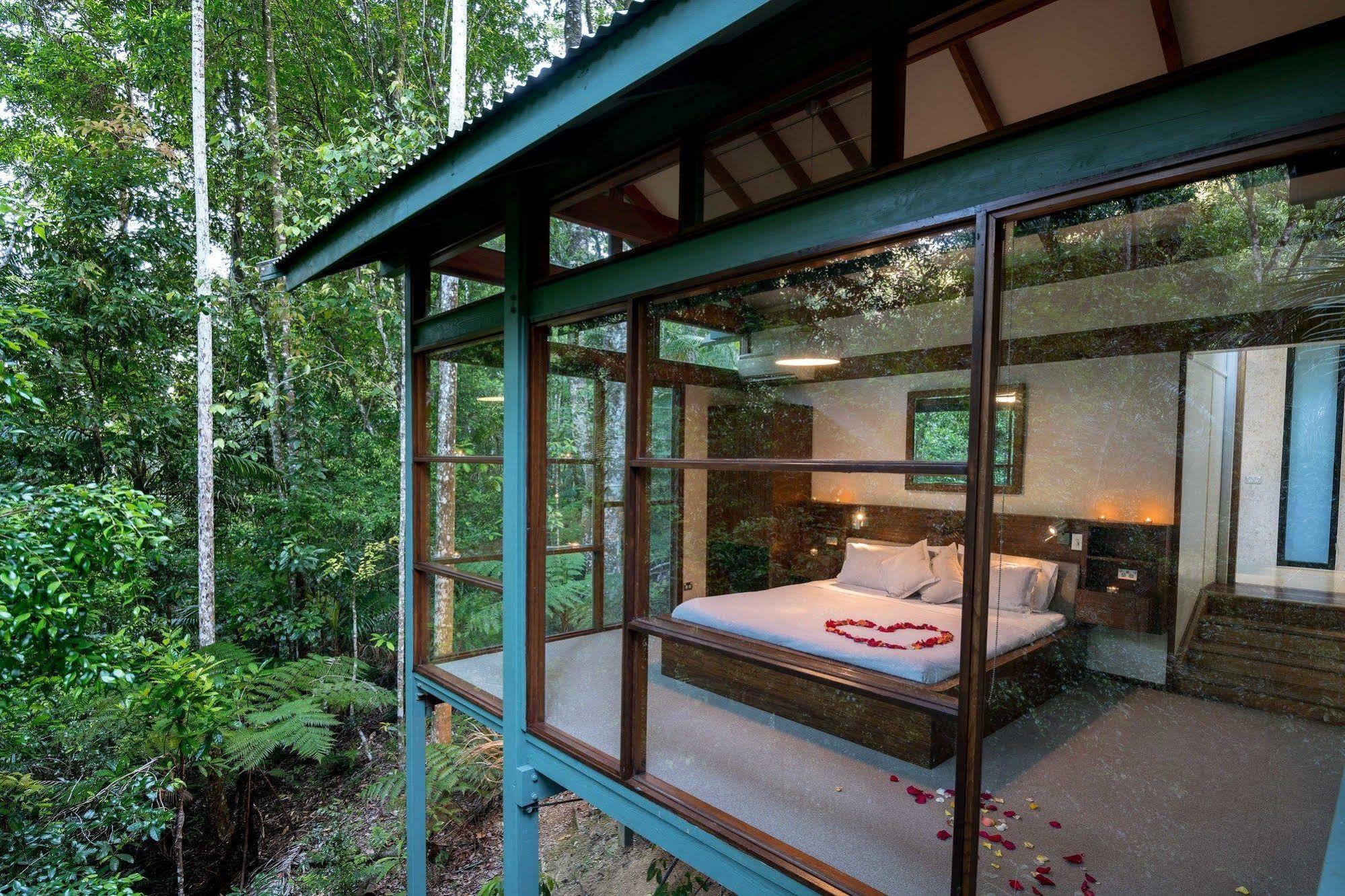 Rainforest Retreat Lodge