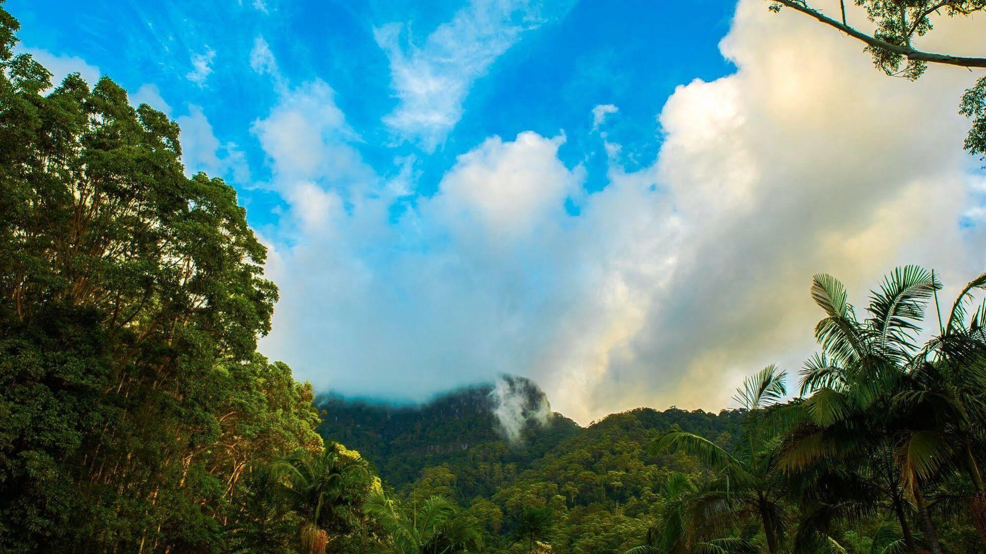 Rainforest Retreat * Crystal Creek