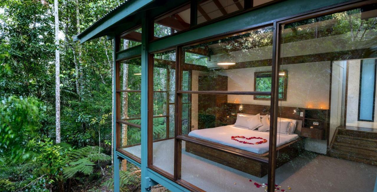 Rainforest Retreat *